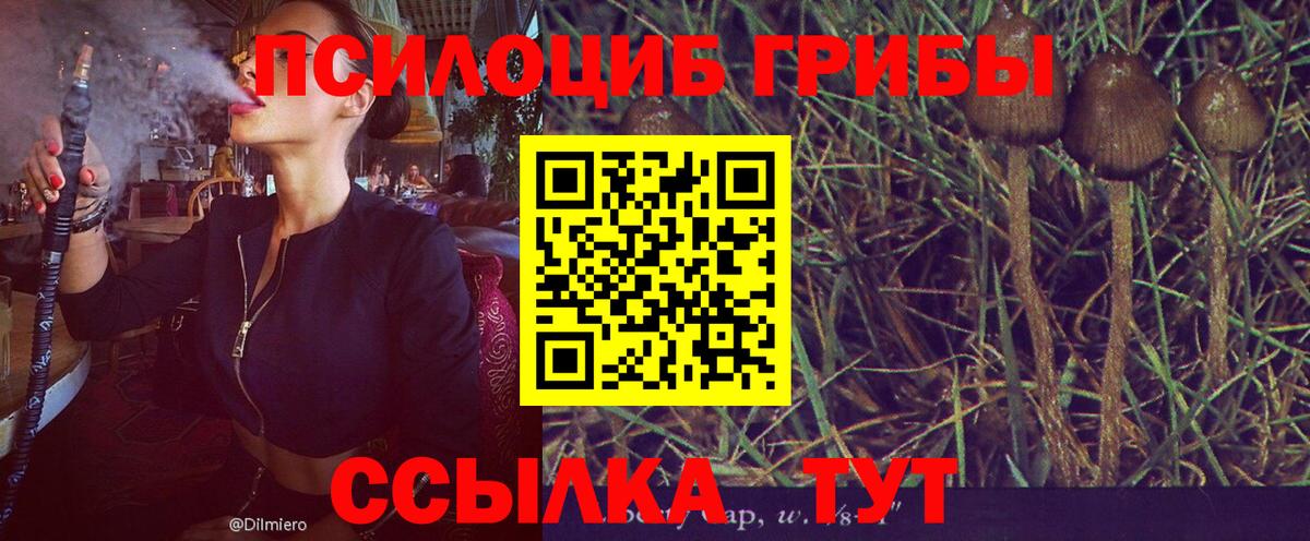 Псилоцибиновые грибы MAGIC MUSHROOMS Лесозаводск